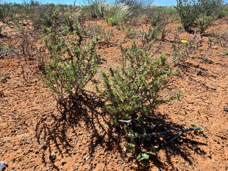 Commercial Property for Sale in Upington Rural Northern Cape